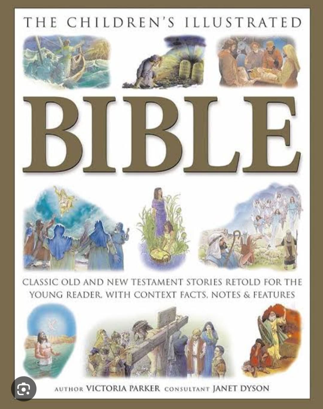 The Children's illustrated Bible 
