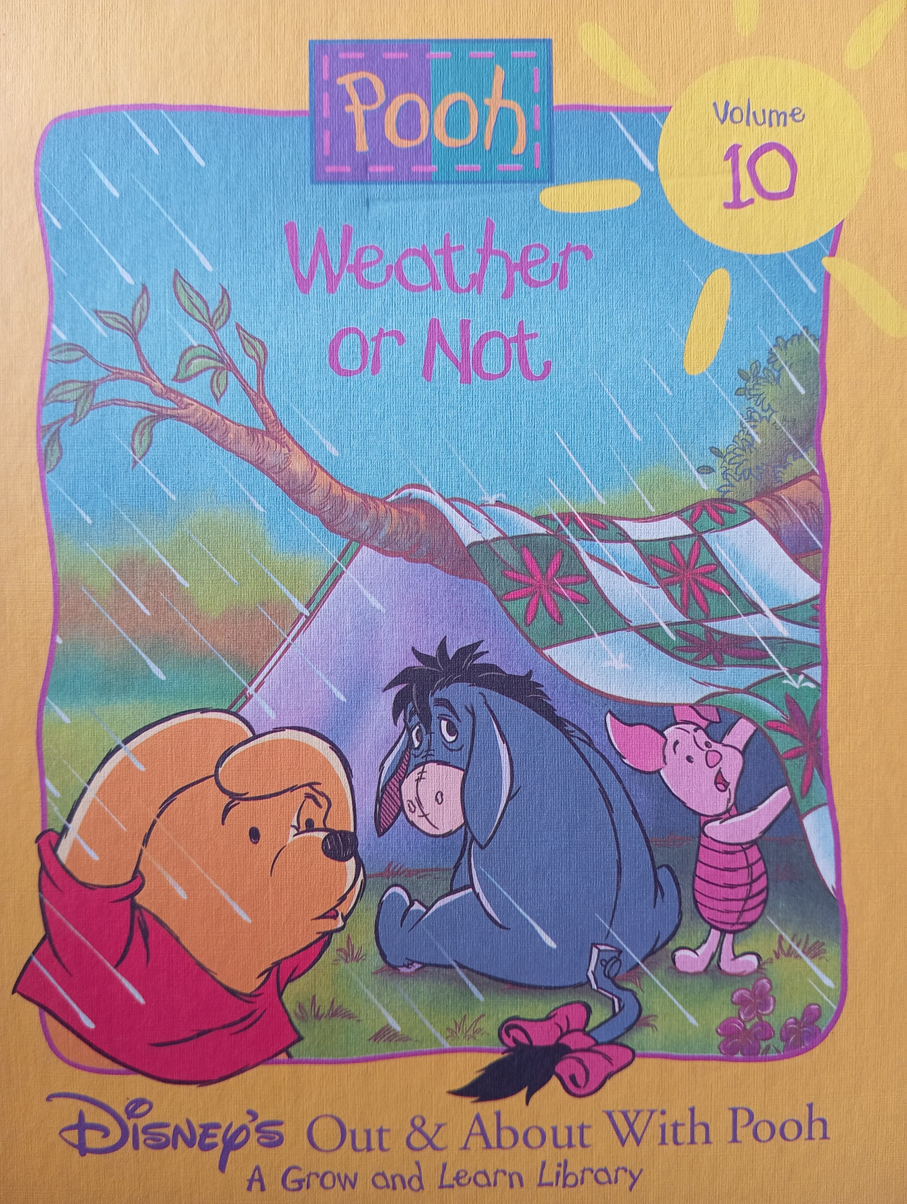 DISNEY'S POOH 10-WEATHER OR NOT