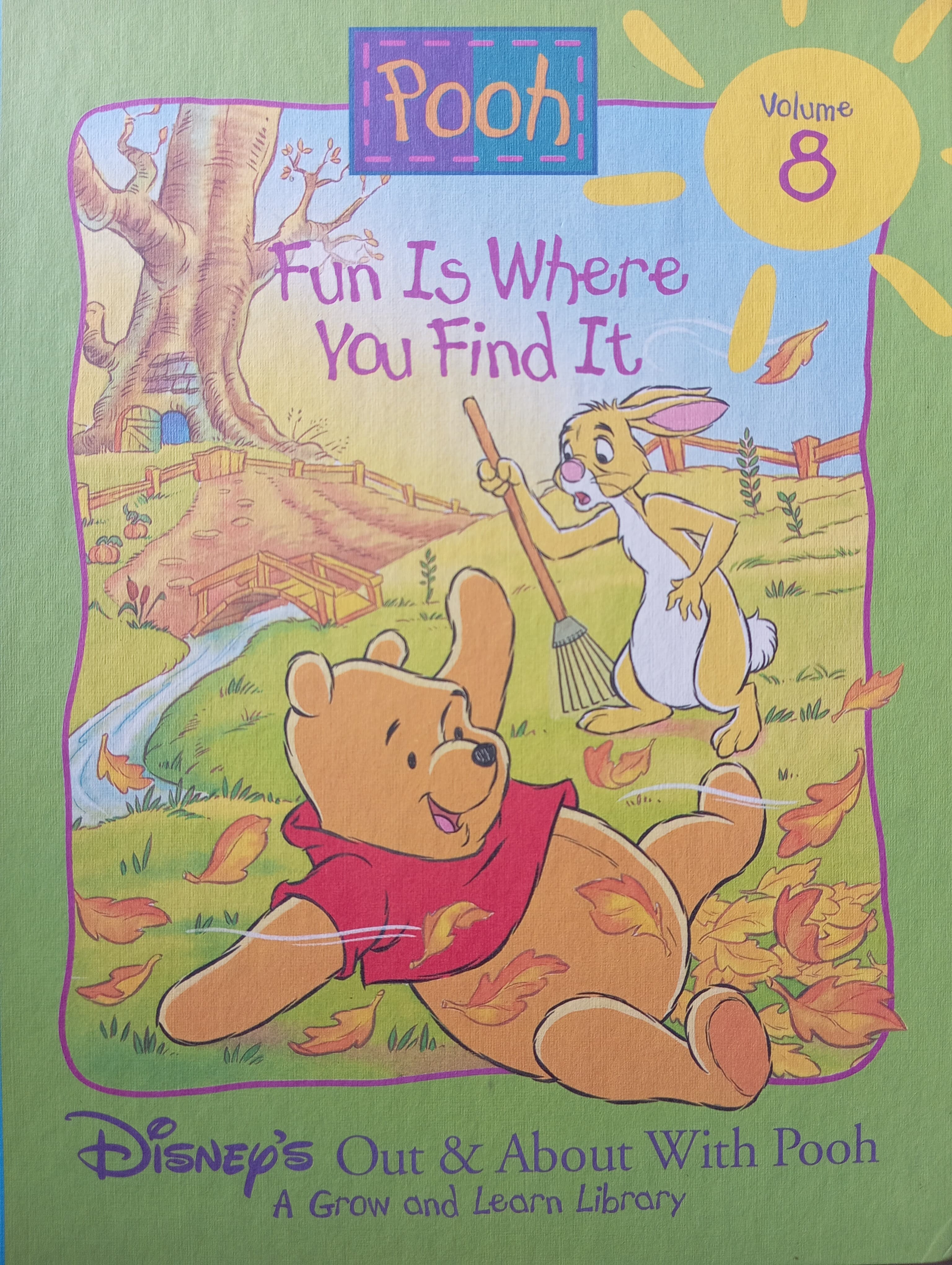 DISNEY'S POOH 8- FUN IS WHERE YOU FIND IT