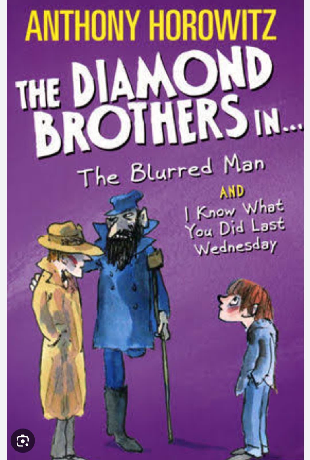The Diamond Brothers in The Blurred Man